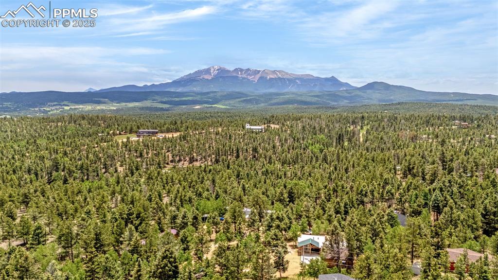 Image 25 of 31: Mountain view with a forest