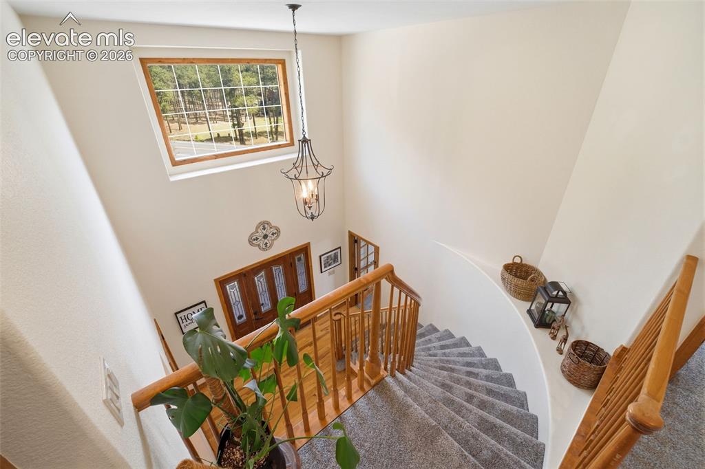 Image 12 of 50: Spacious living area featuring light-toned carpeting and a ceiling fan