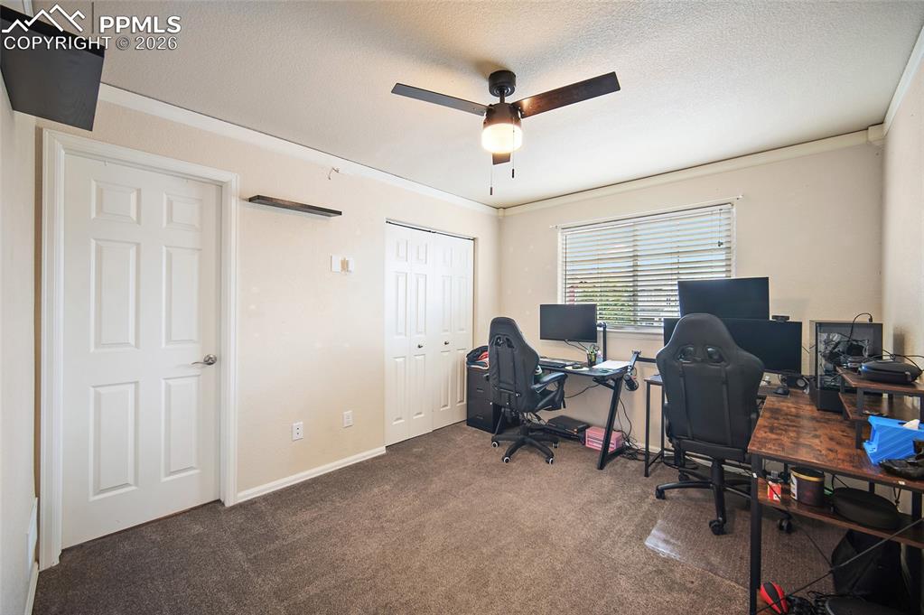 Image 22 of 43: Carpeted room featuring a ceiling fan with integrated lighting, a window wi