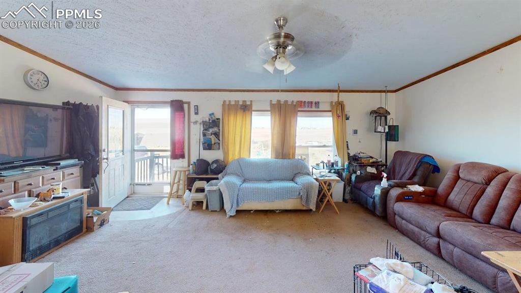 Image 16 of 31: Living room featuring ceiling fan, carpet flooring, a textured ceiling, and