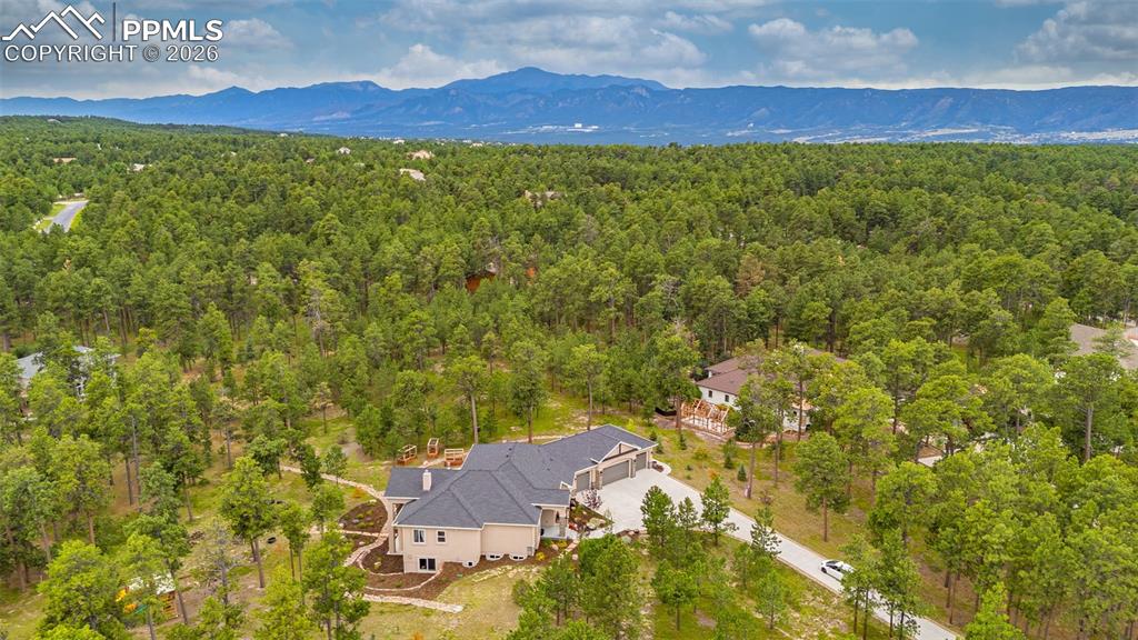 Image 45 of 50: No Description Available