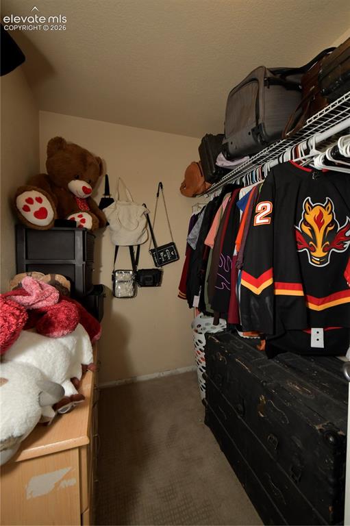Image 18 of 24: Walk-In Closets