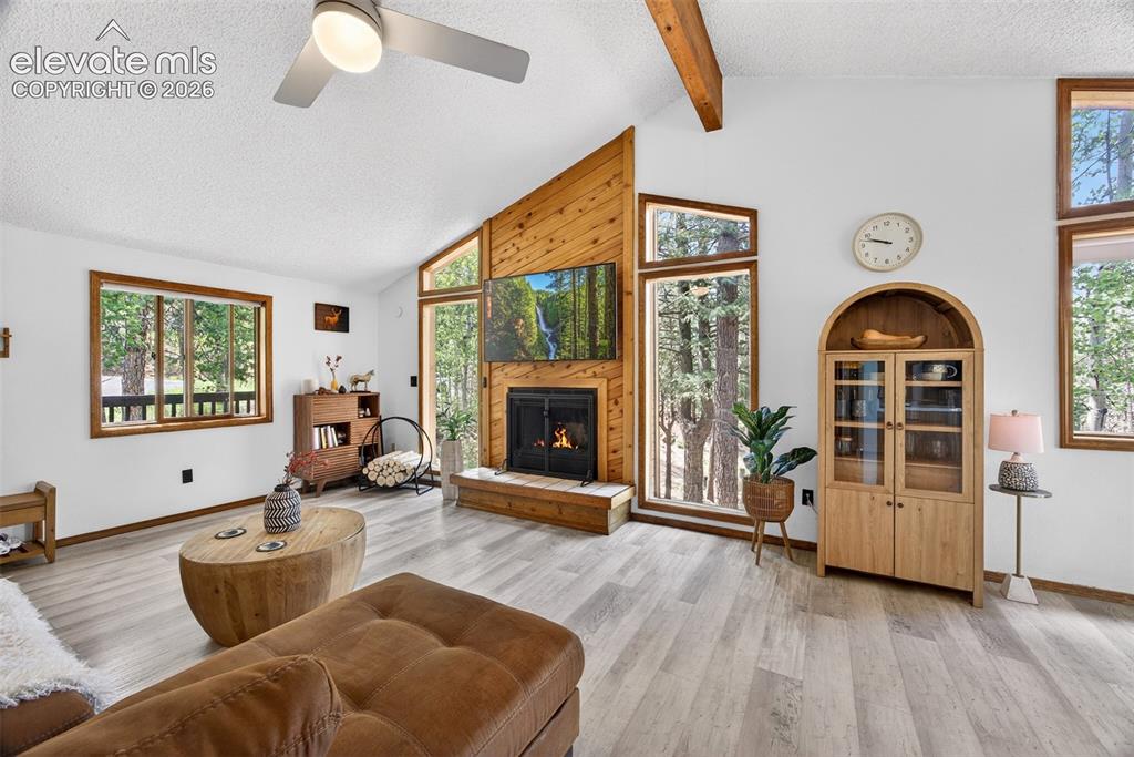 Image 11 of 50: Living Room