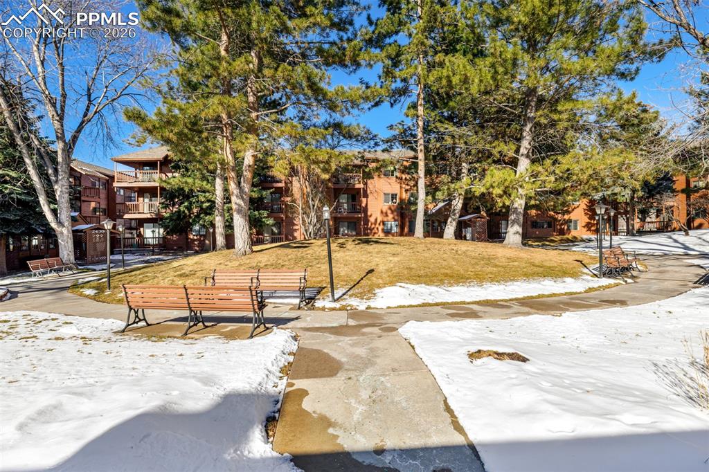 Image 33 of 35: Community Grounds