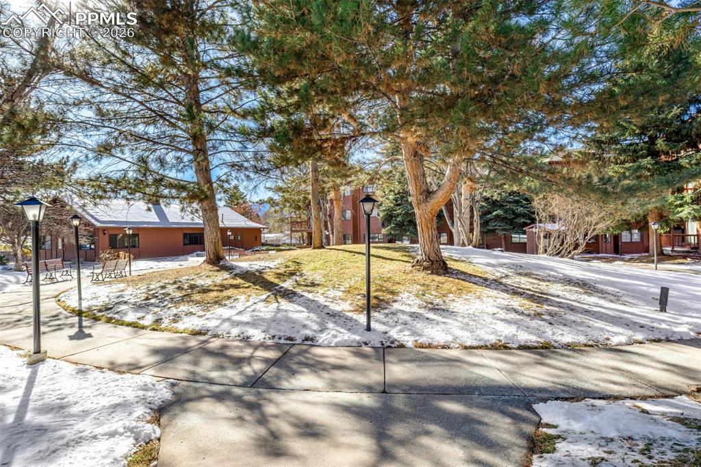 Image 35 of 35: Community Grounds