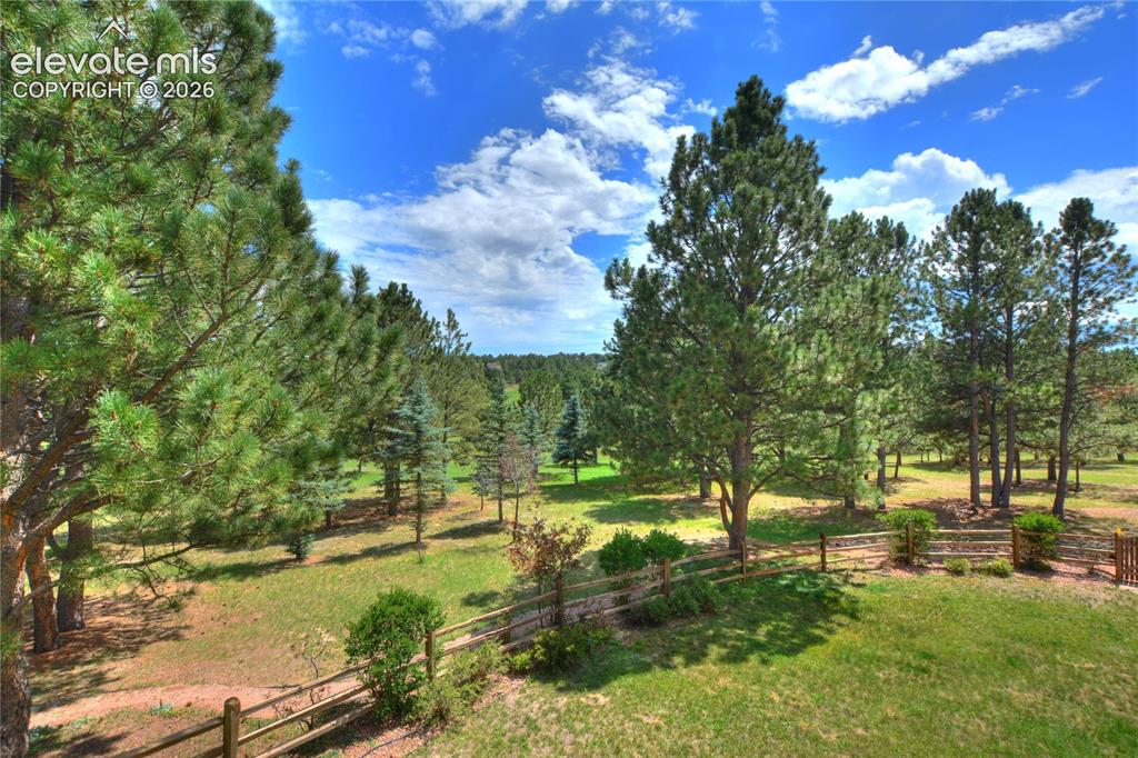 Image 49 of 49: Yard