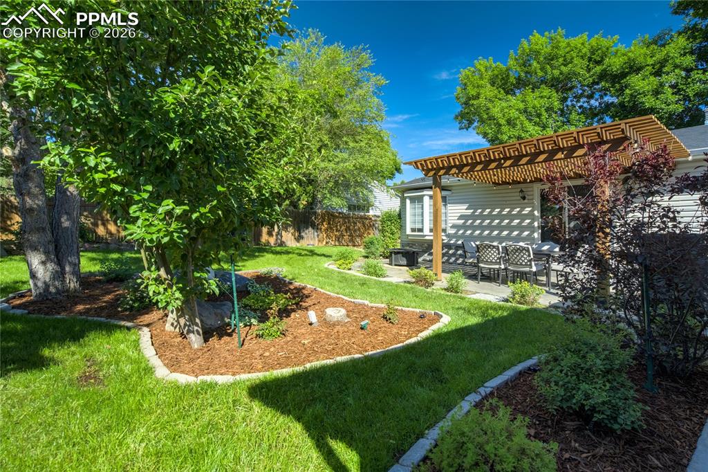 Image 29 of 36: Yard