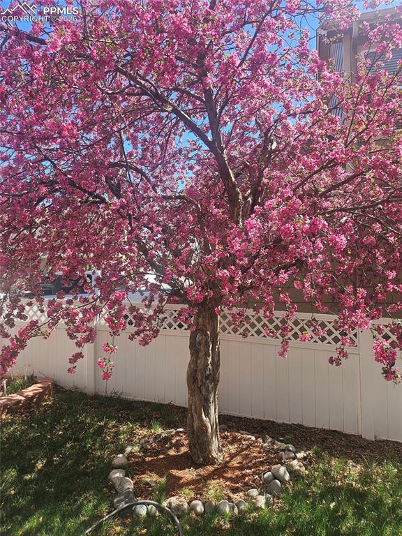 Image 31 of 37: Yard