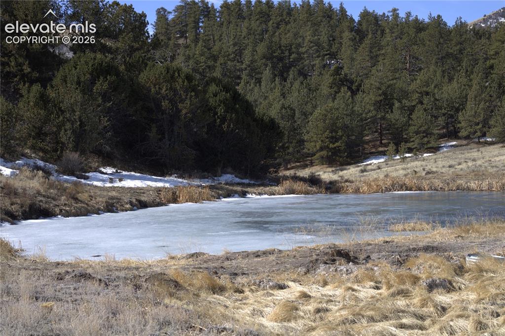 Image 19 of 20: Maintained ponds on Trout Lane