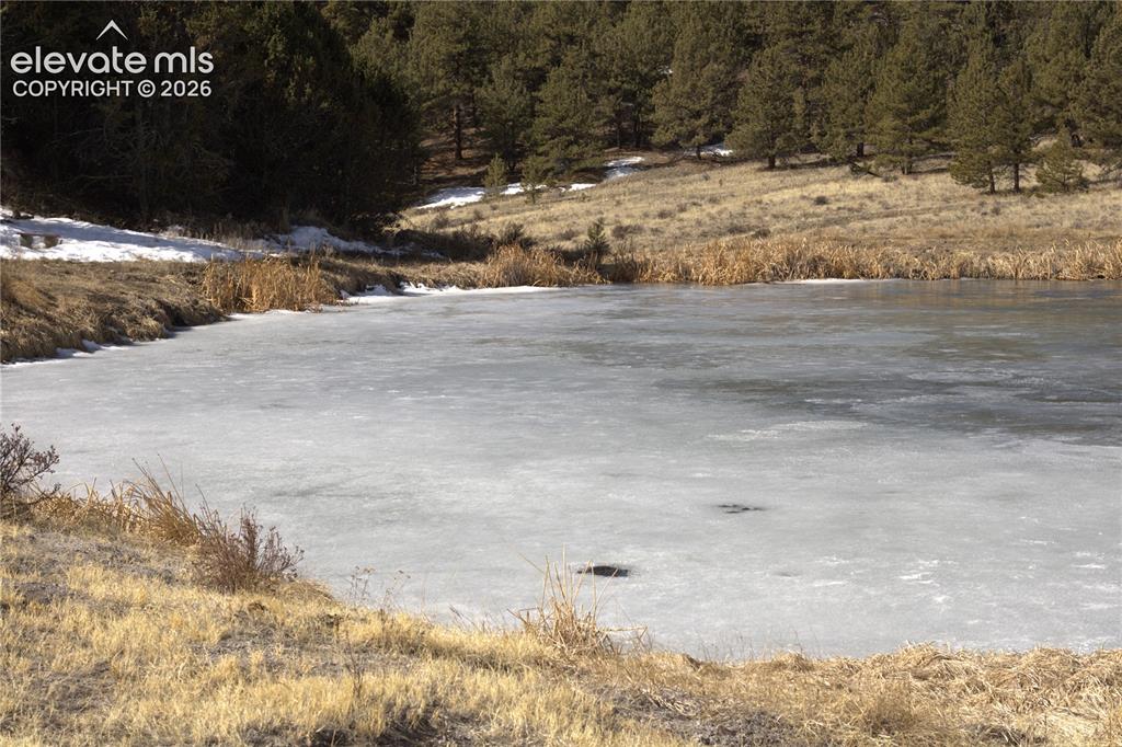 Image 20 of 20: 2 ponds maintained and stocked by HOA
