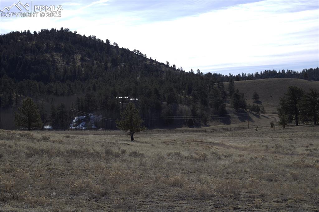Image 4 of 20: Mountain view with rural landscape and a forest