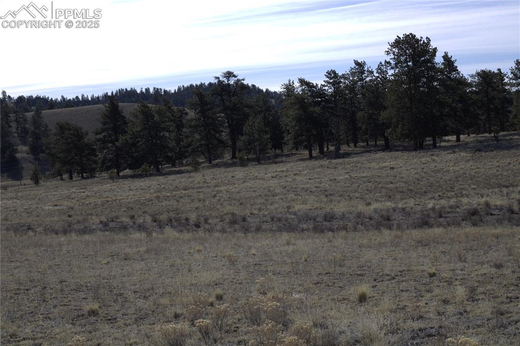Image 5 of 20: View of local wilderness featuring rural landscape