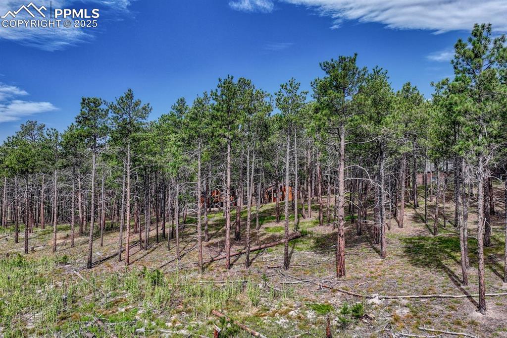 Image 12 of 24: Other