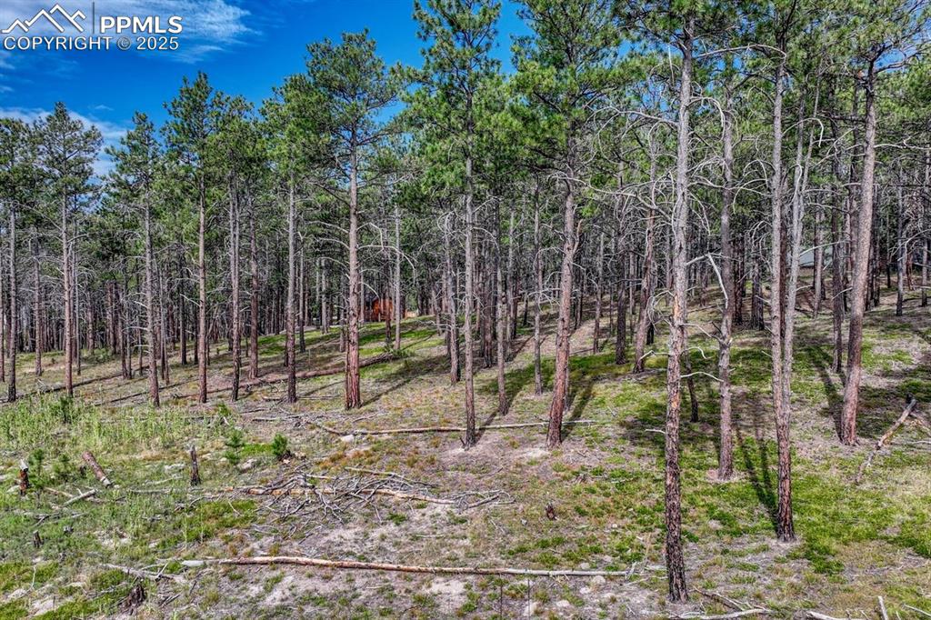 Image 13 of 24: Other