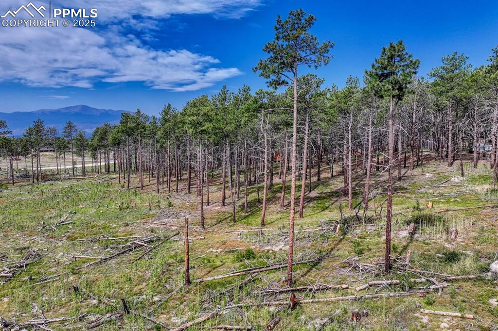 Image 15 of 24: Other