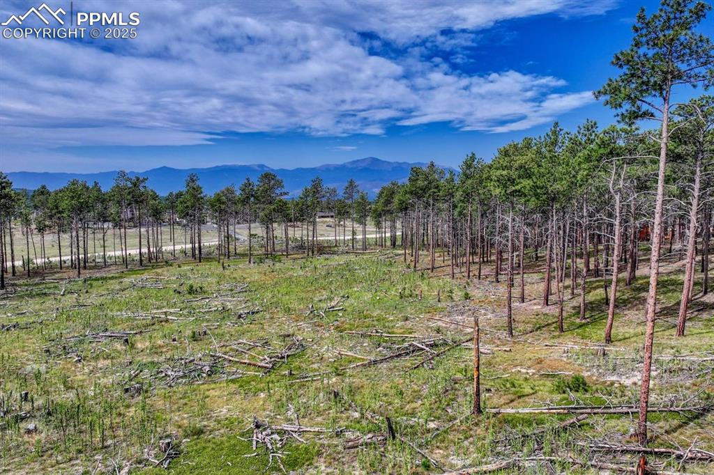 Image 16 of 24: Yard