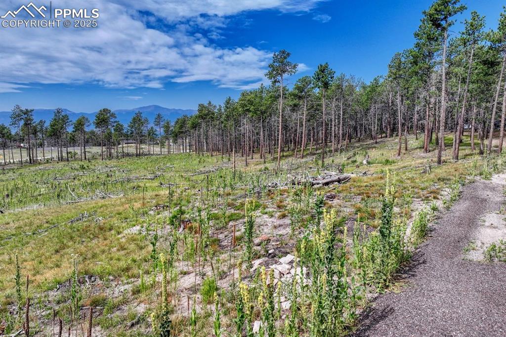 Image 18 of 24: Yard