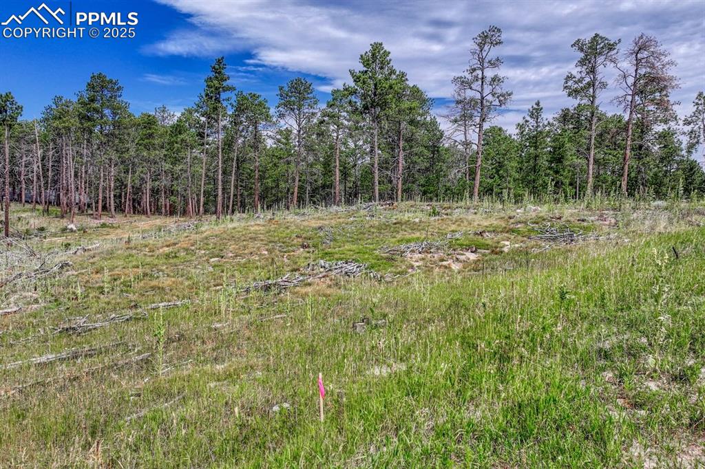 Image 20 of 24: Other