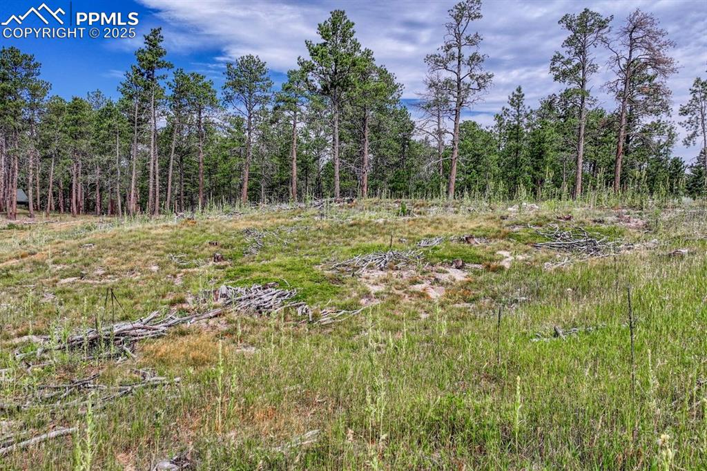 Image 21 of 24: Other