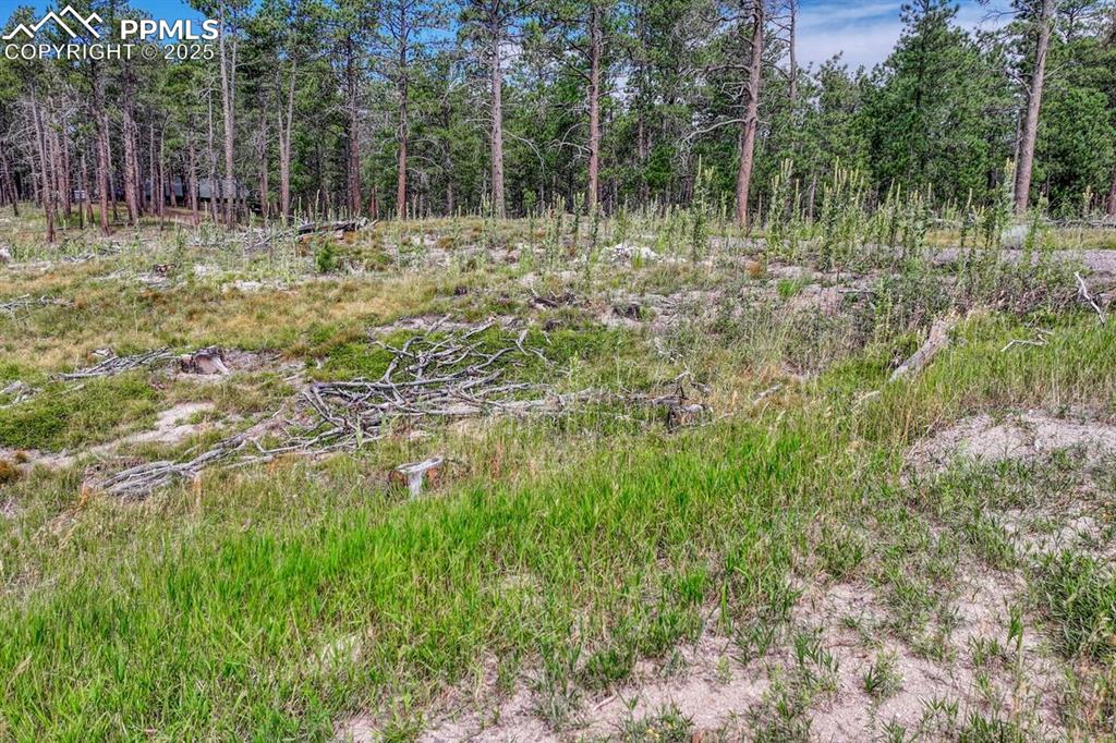 Image 22 of 24: Other