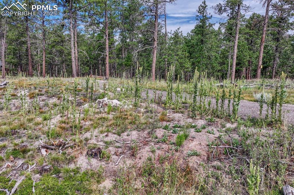 Image 23 of 24: Other