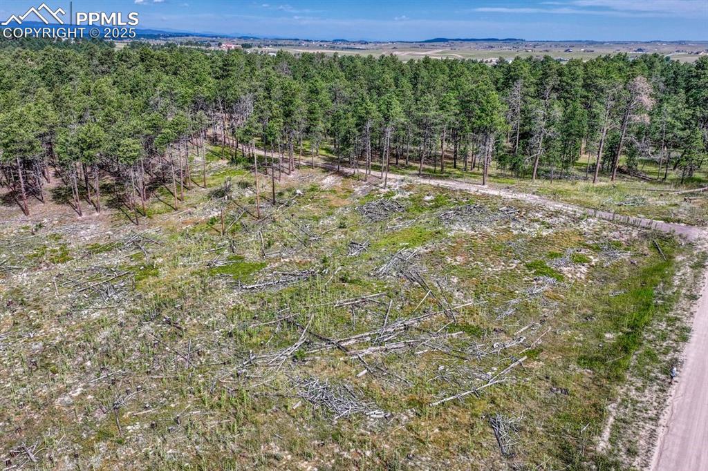 Image 4 of 24: Aerial View