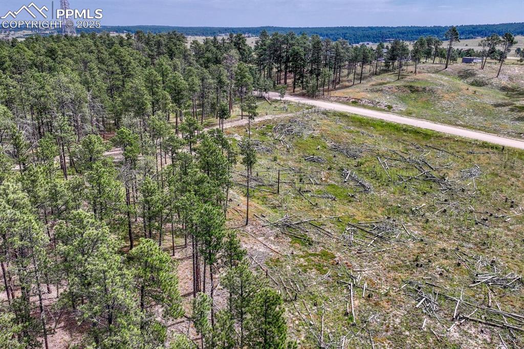 Image 6 of 24: Aerial View