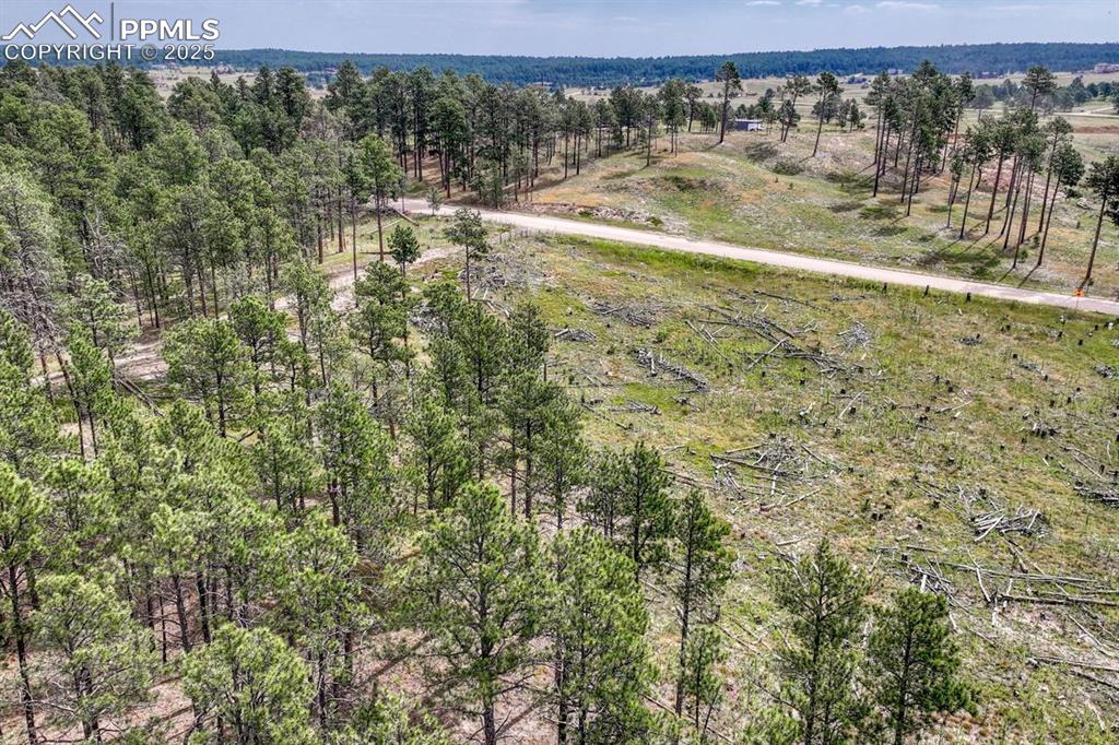 Image 7 of 24: Aerial View