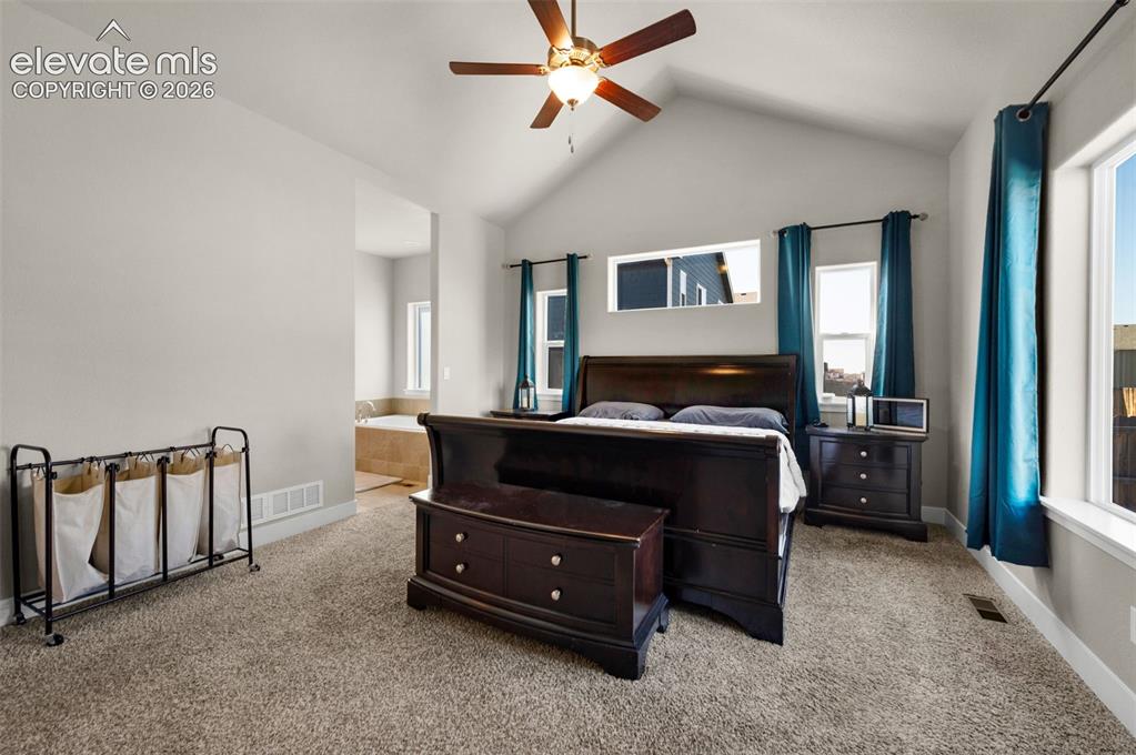 Image 19 of 40: Notice the ceiling fan in the vaulted ceiling