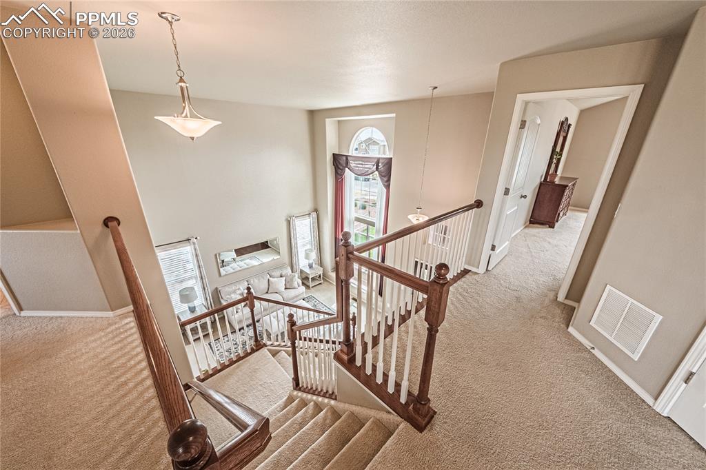 Image 17 of 47: Other