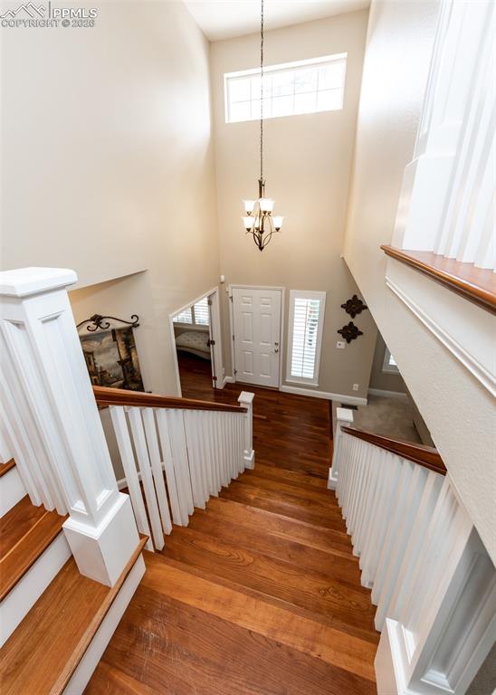 Image 21 of 50: Other