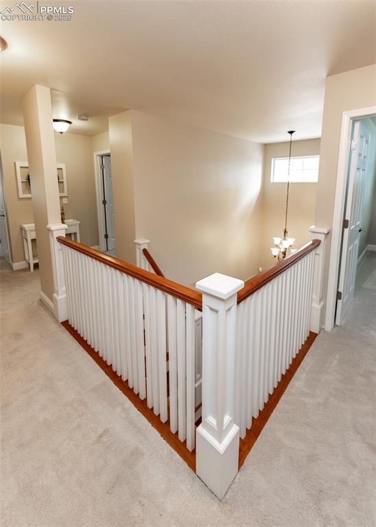 Image 39 of 50: Other