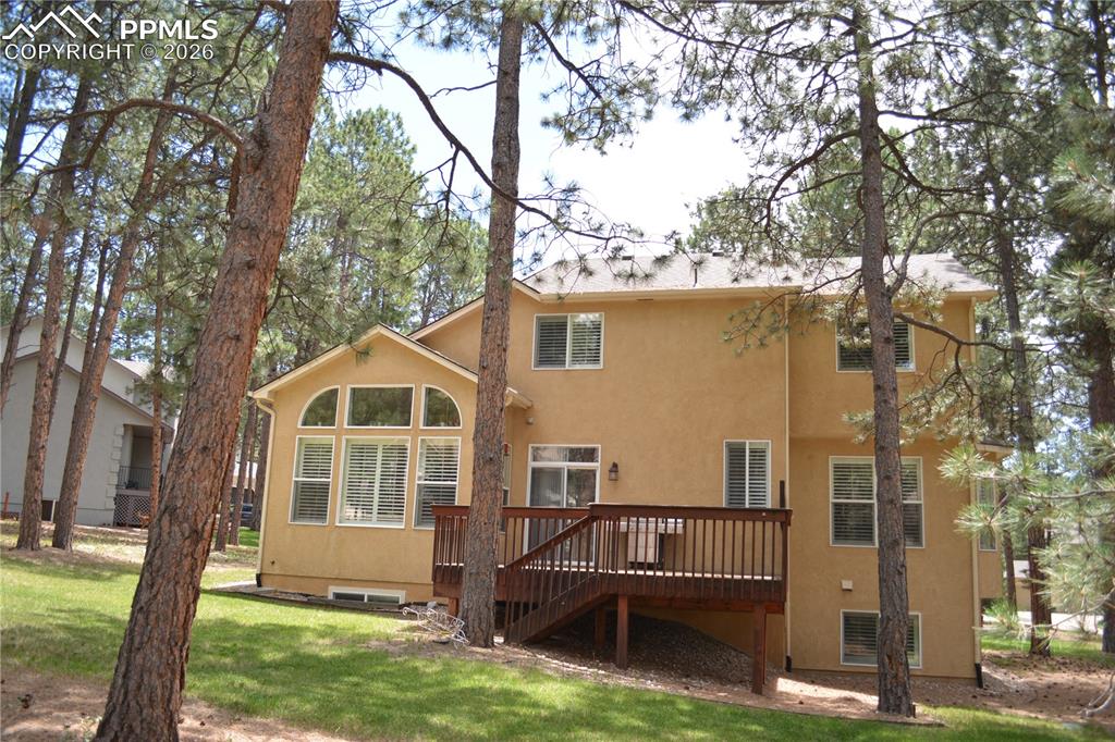 Image 49 of 50: Back of Structure