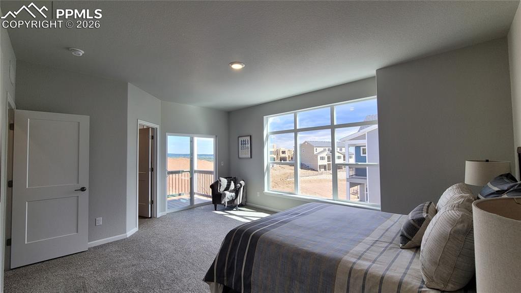 Image 19 of 28: Primary Suite is accompanied with a plush bathroom, walk-in closet, and pri