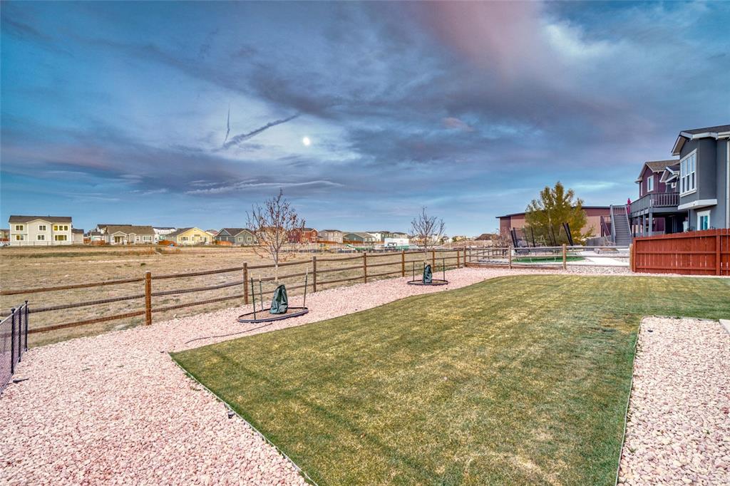 Image 46 of 50: Yard