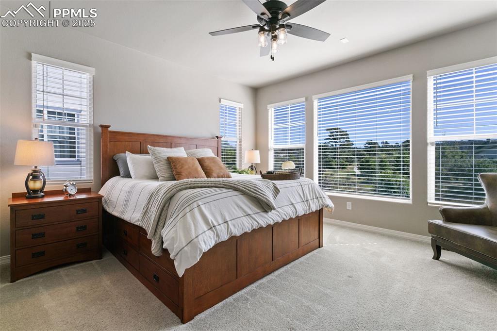 Image 33 of 50: Bedroom with multiple windows, light colored carpet, and ceiling fan