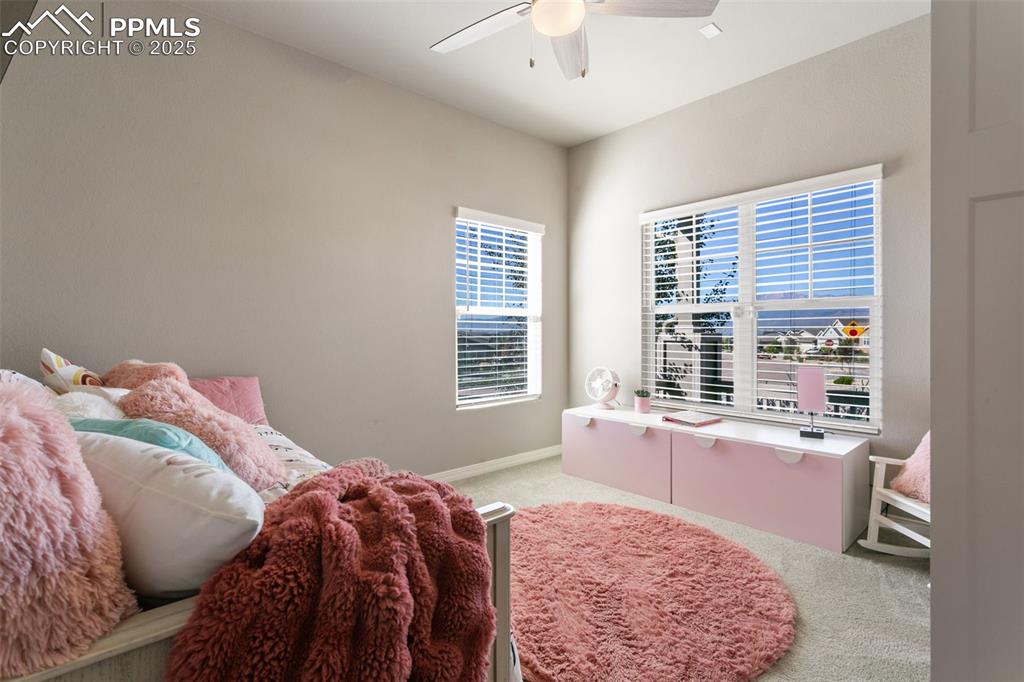 Image 38 of 50: Other