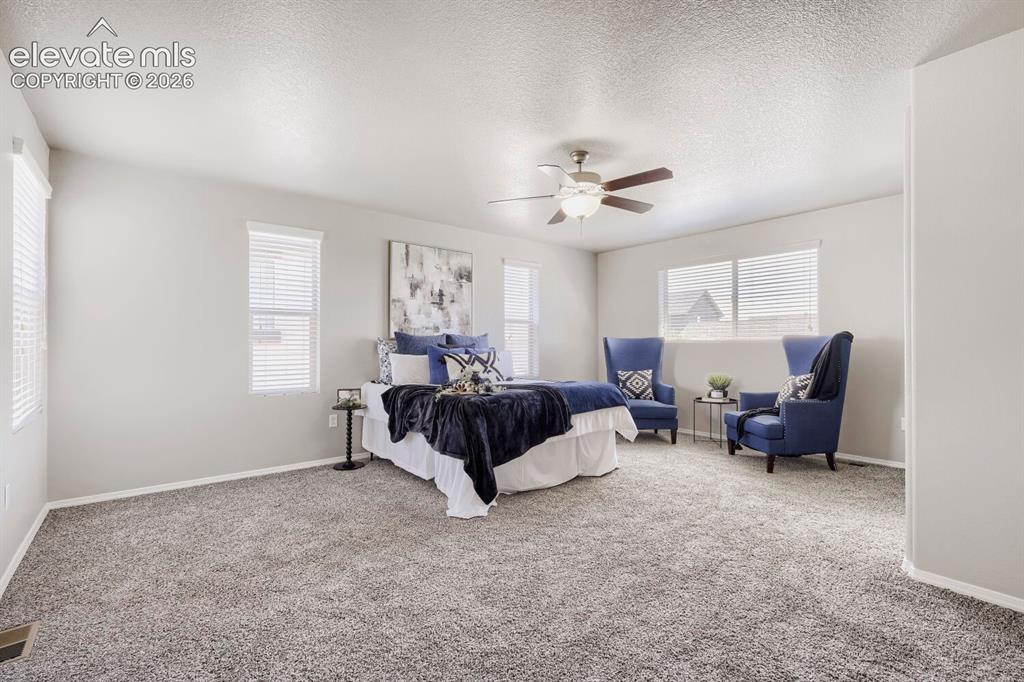 Image 20 of 35: Carpeted room featuring multiple windows with blinds, a ceiling fan with in