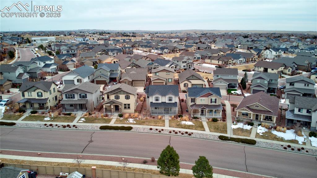 Image 34 of 34: Bird