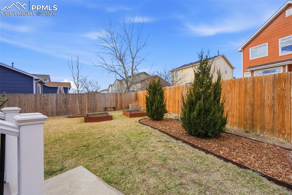 Image 37 of 50: Yard