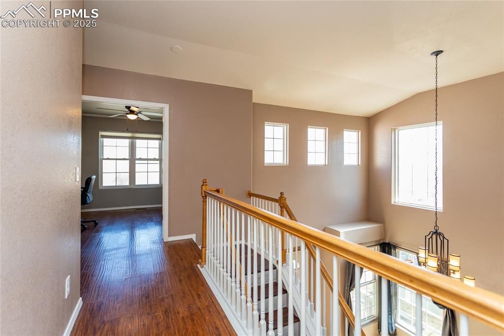 Image 20 of 49: Other