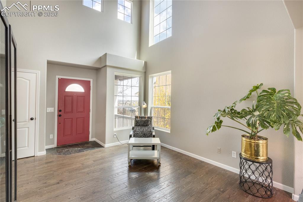 Image 4 of 39: Foyer with healthy amount of natural light, dark wood-style floors, and a h