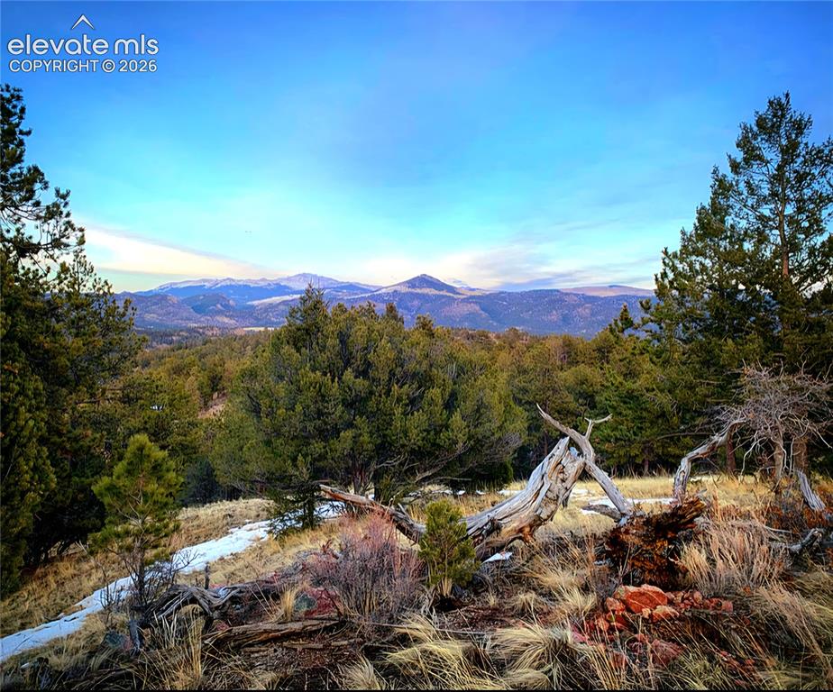 Image 50 of 50: from top of property...welcome home