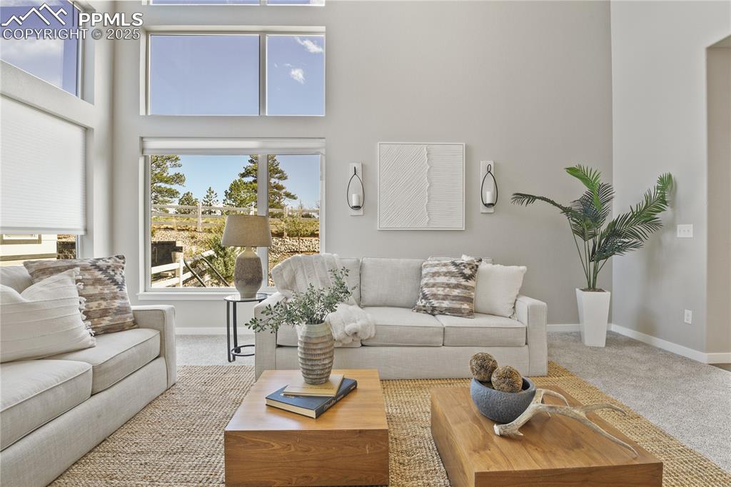 Image 14 of 50: Carpeted living area with a high ceiling and baseboards