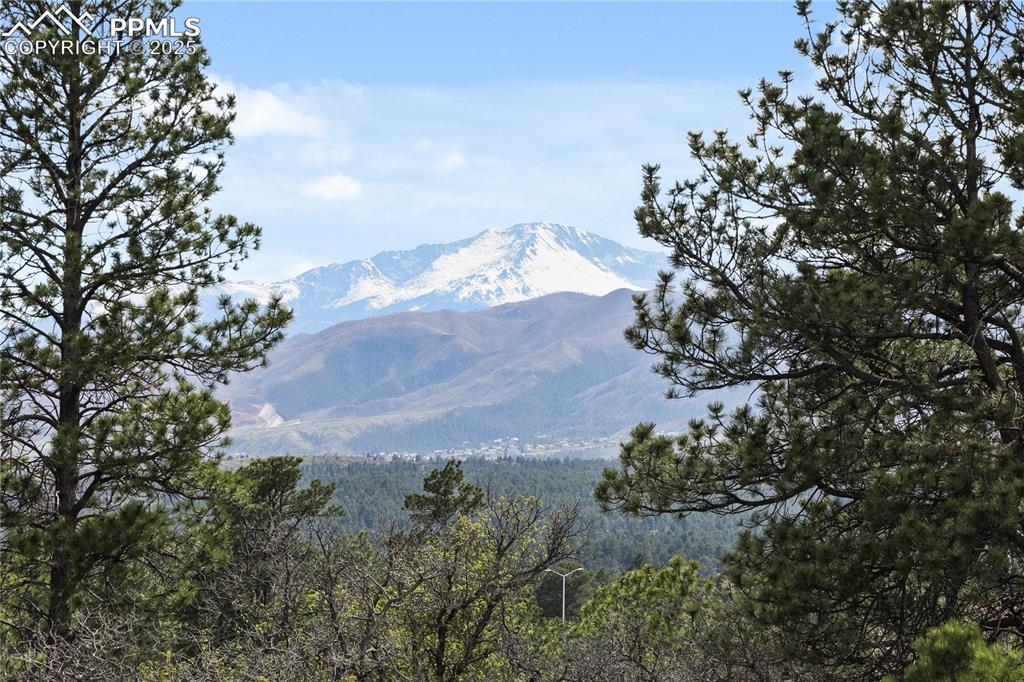 Image 48 of 50: Mountain view featuring a forest