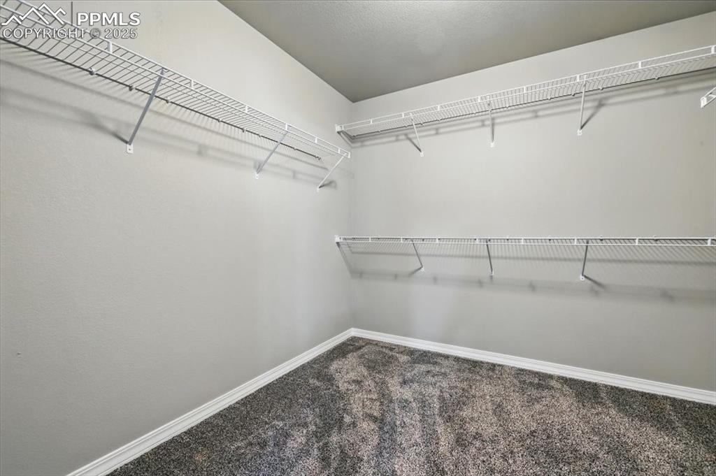 Image 29 of 45: Spacious closet with carpet flooring