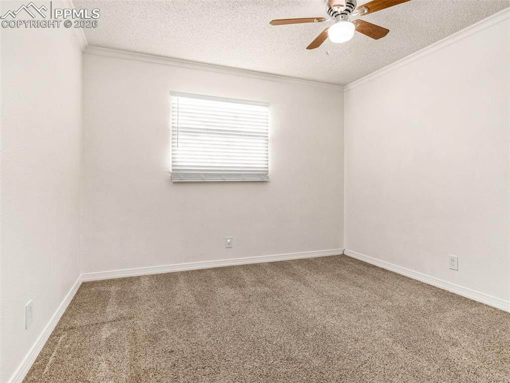 Image 11 of 39: Other