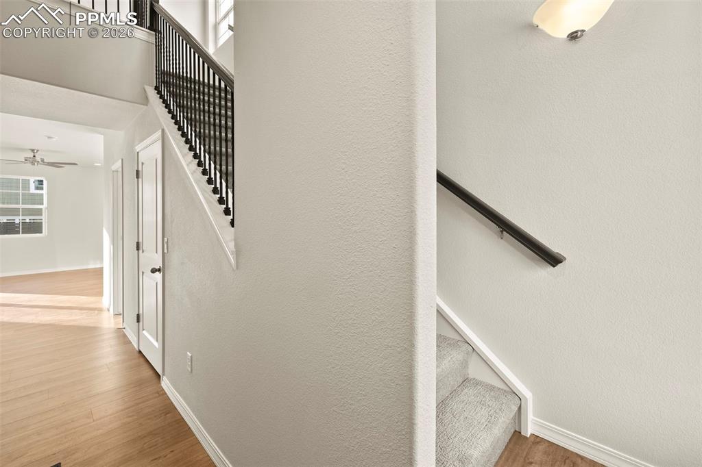 Image 18 of 45: Other