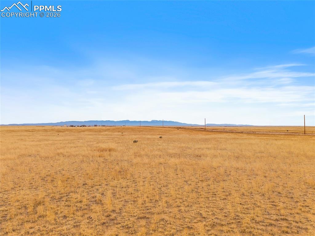 Image 16 of 23: Yard