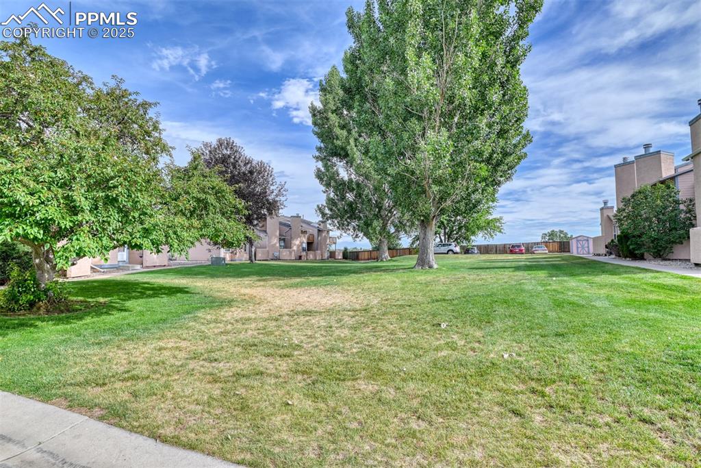 Image 4 of 20: Yard